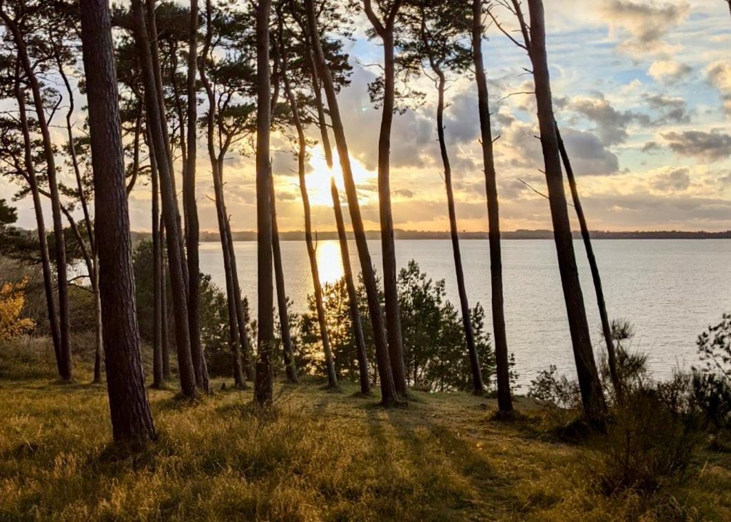 Tallskog - Dein Apartment Am Naturstrand Hohen Wieschendorf Hohenkirchen  Bagian luar foto