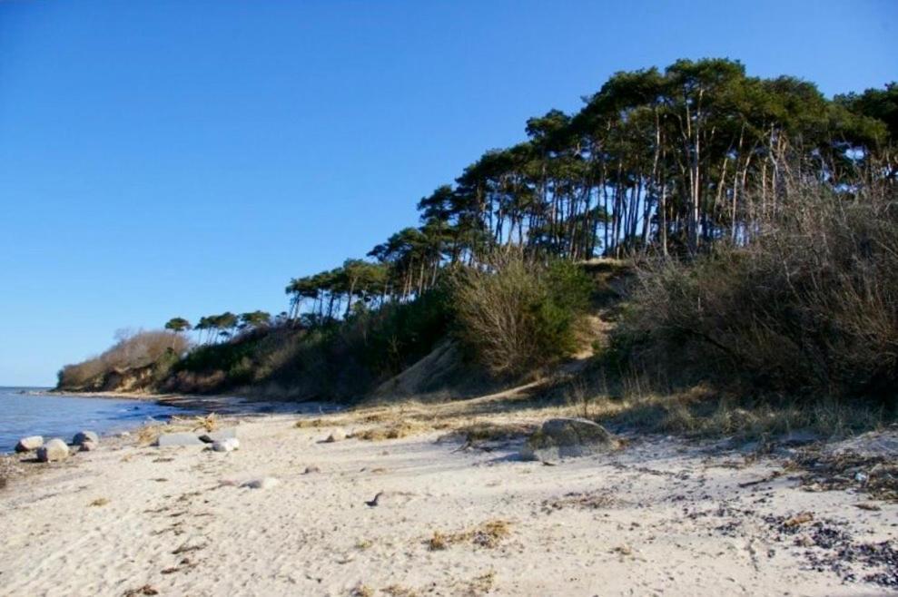 Tallskog - Dein Apartment Am Naturstrand Hohen Wieschendorf Hohenkirchen  Bagian luar foto