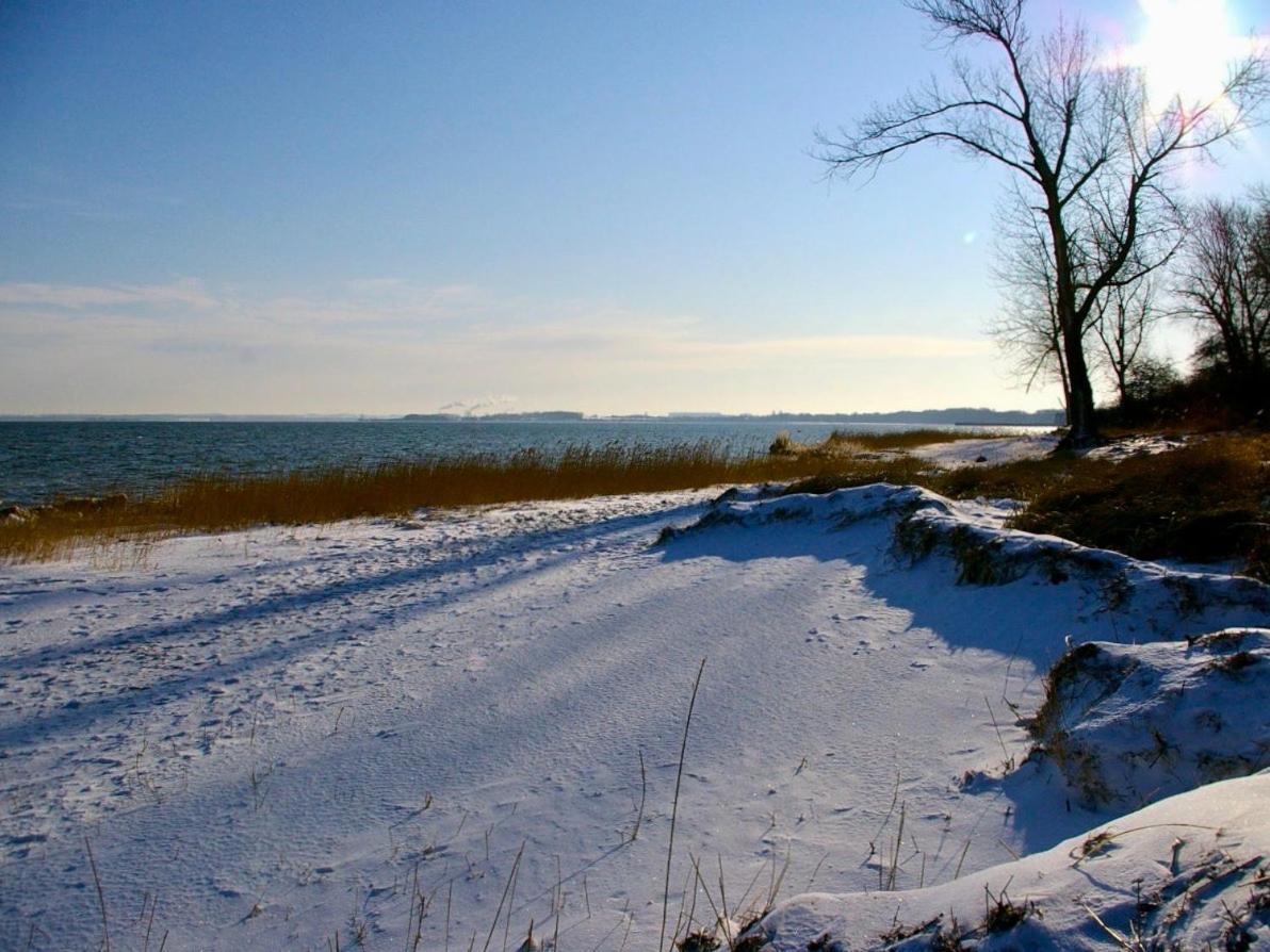 Tallskog - Dein Apartment Am Naturstrand Hohen Wieschendorf Hohenkirchen  Bagian luar foto