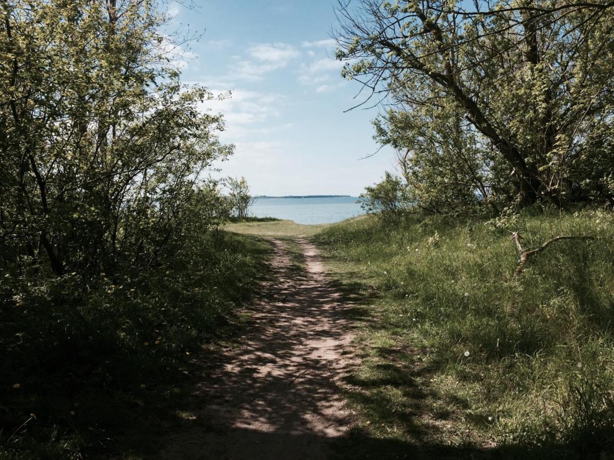 Tallskog - Dein Apartment Am Naturstrand Hohen Wieschendorf Hohenkirchen  Bagian luar foto